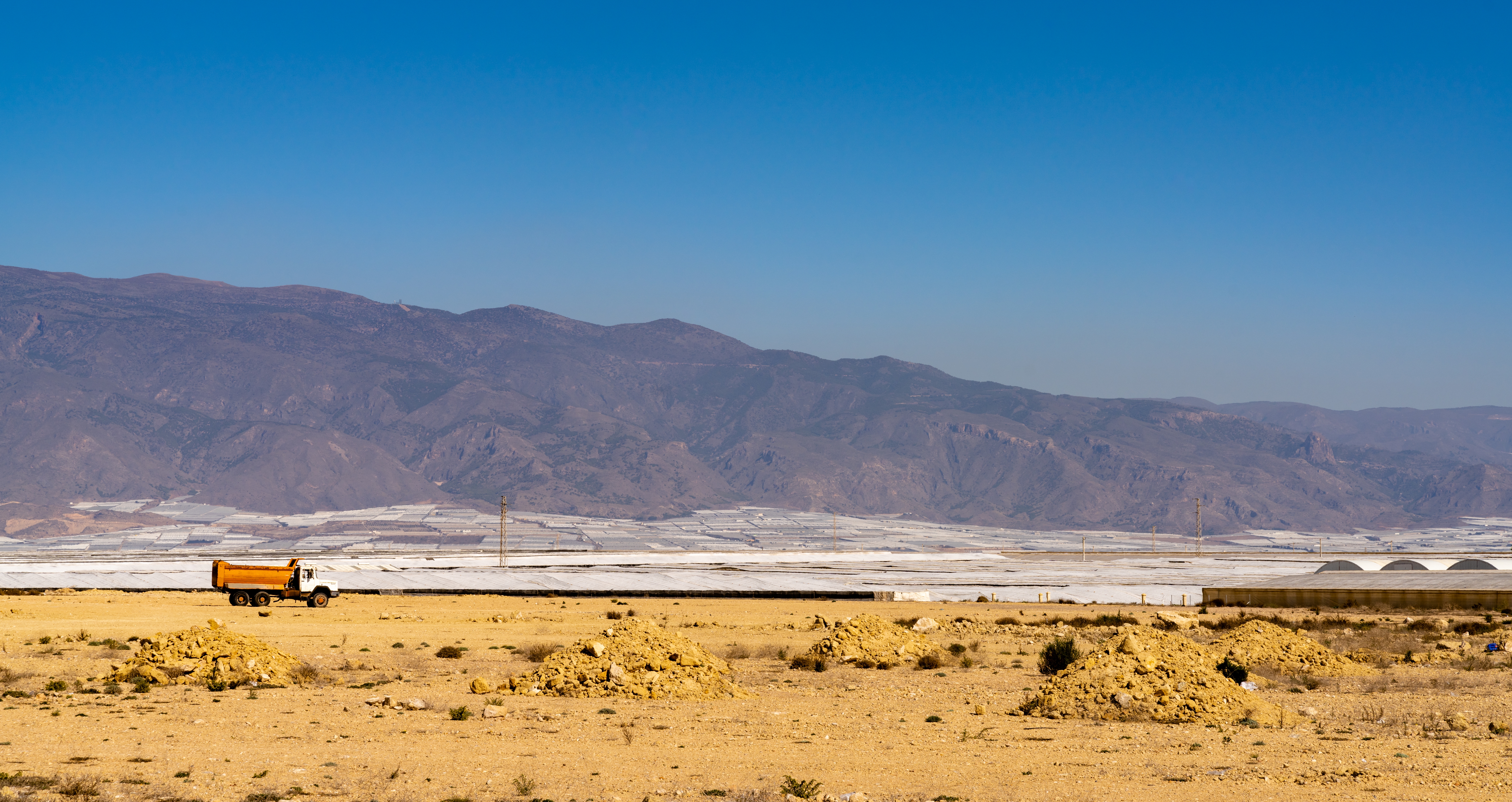 shutterstock 2134591357