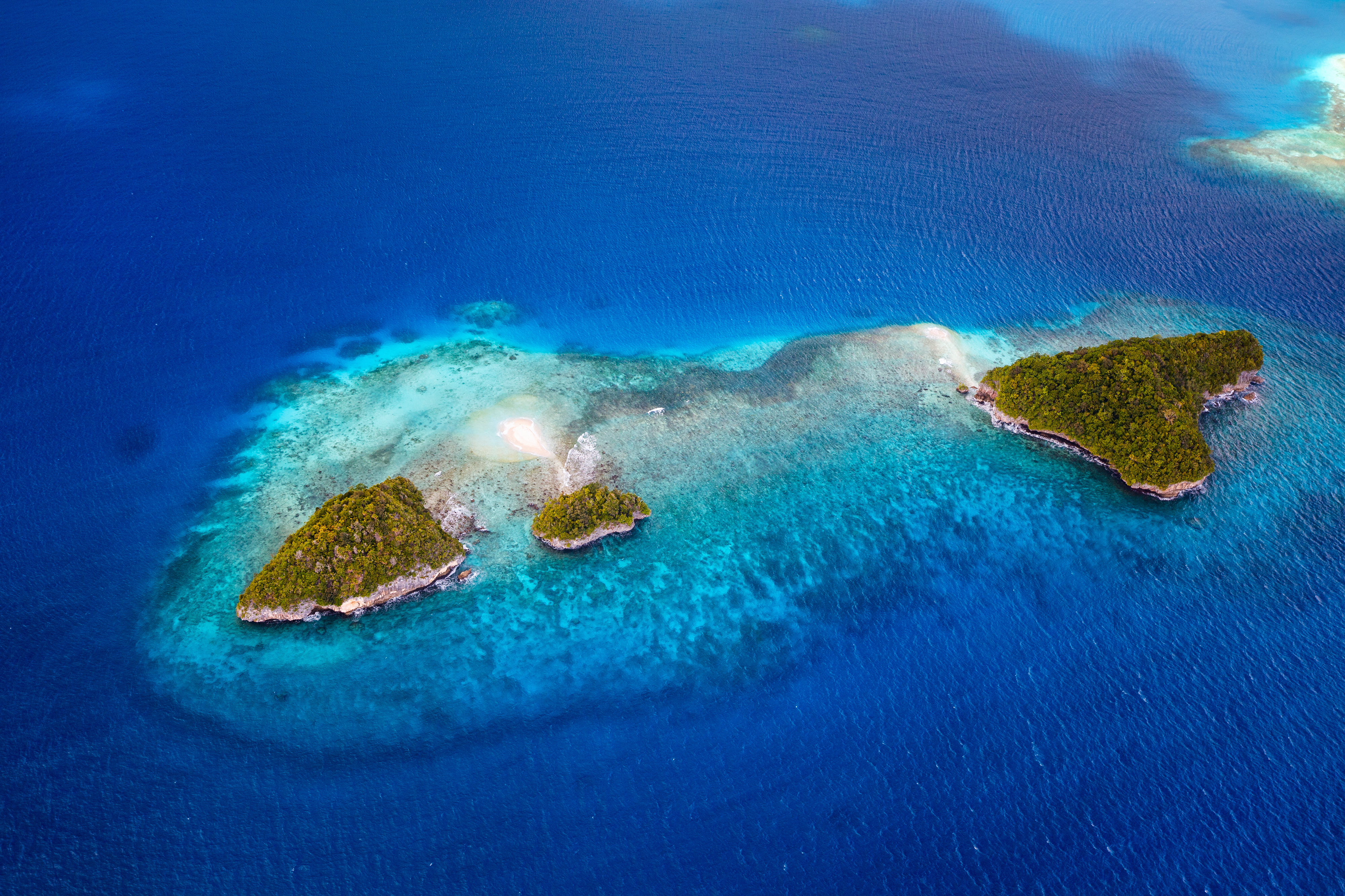 shutterstock 316580504