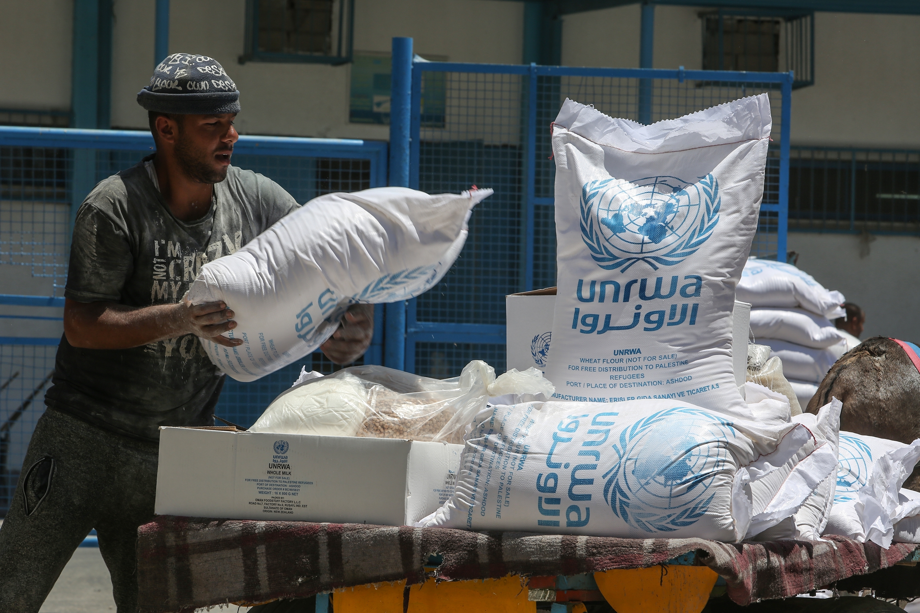 shutterstock 2167468755