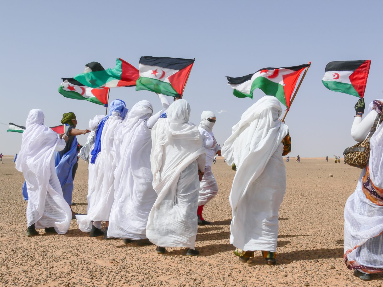 Moroccan,Western,Sahara,Wall,,Western,Sahara.,March,,22,,2008.,Demonstration