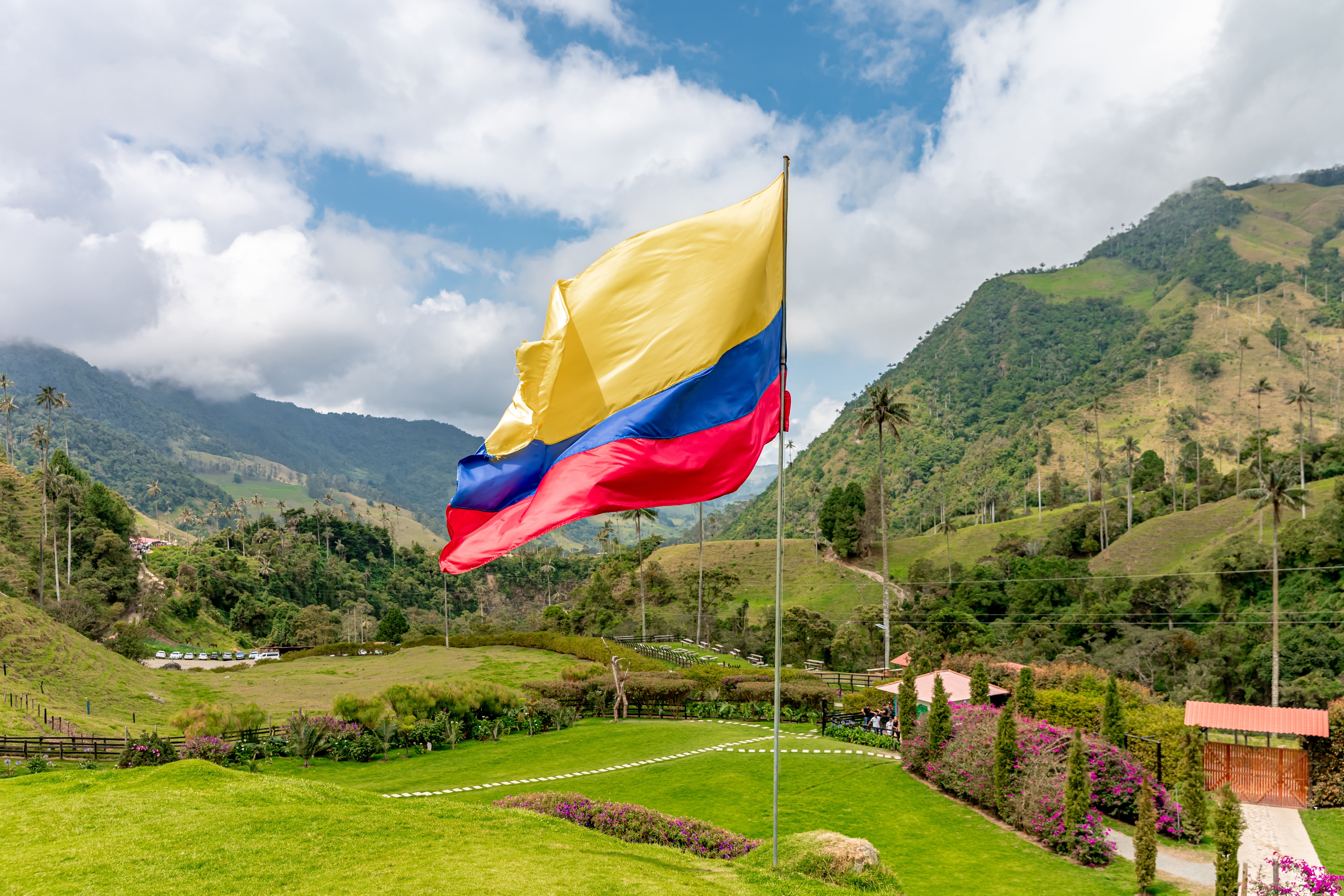 Colombia total peace Start Colombian flag in the national park