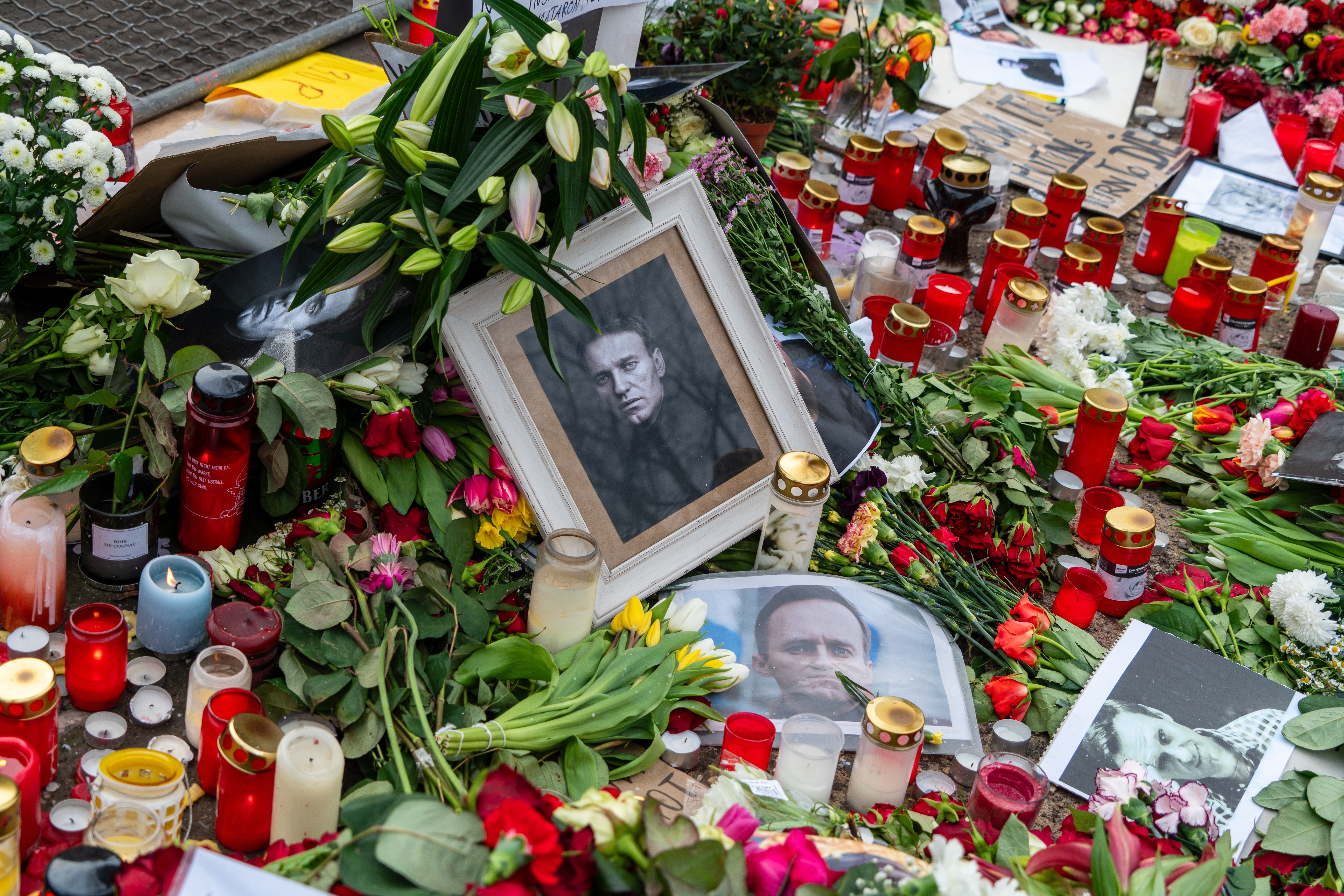 shutterstock 2427005439