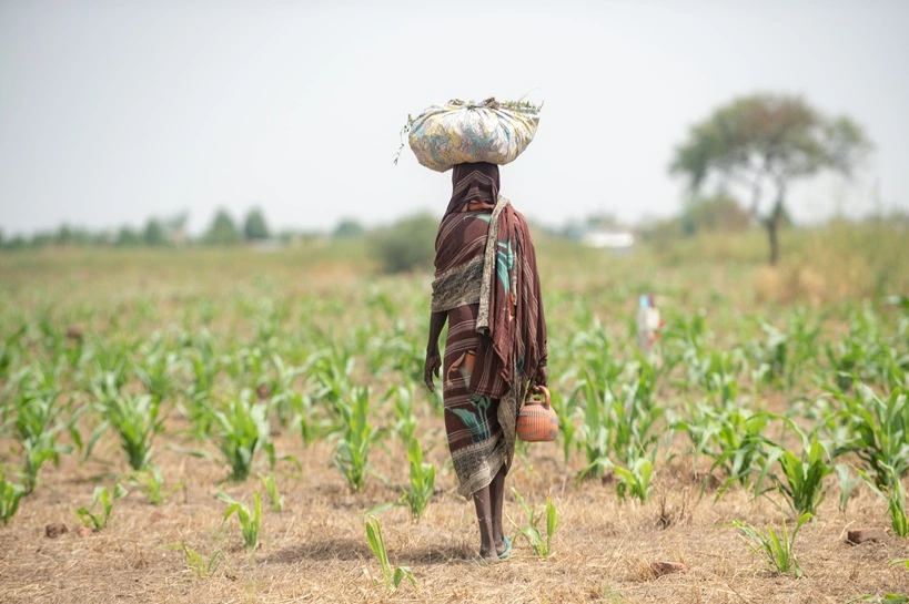 Farmer African girl walking in farm field in Chad N'Djamena travel, located in Sahel desert and Sahara. Hot weather in desert climate on the Chari river in Africa.